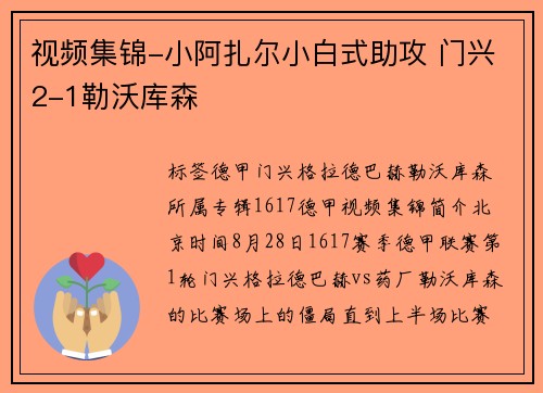 视频集锦-小阿扎尔小白式助攻 门兴2-1勒沃库森